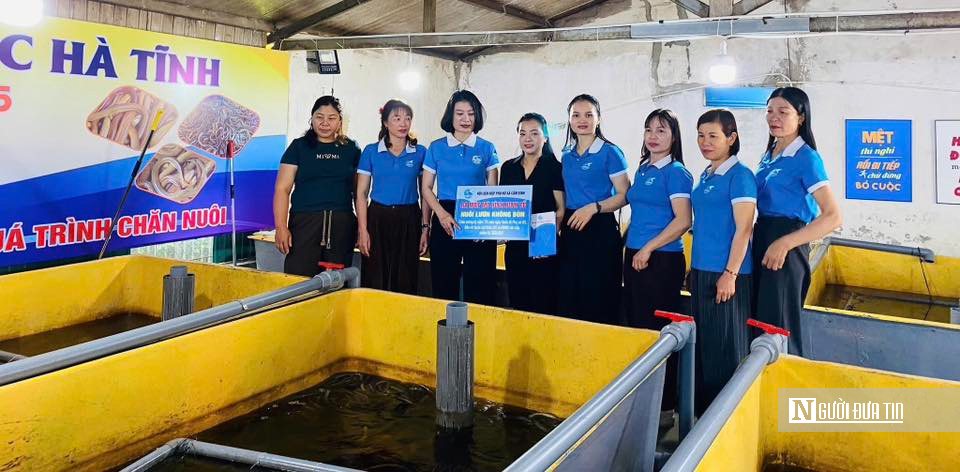 Khởi nghiệp với m&ocirc; h&igrave;nh nu&ocirc;i lươn kh&ocirc;ng b&ugrave;n, người phụ nữ ngồi chờ h&aacute;i &ldquo;quả ngọt&rdquo;- Ảnh 7.