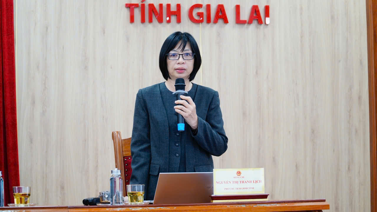 Gia Lai bứt phá từ bệ phóng Năm Du lịch Quốc gia: - Ảnh 15.