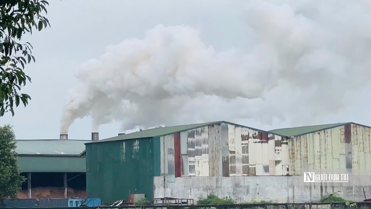 Khói trắng phủ khu dân cư ở Quảng Ngãi, dân kiến nghị quan trắc môi trường nhà máy viên nén gỗ- Ảnh 1.