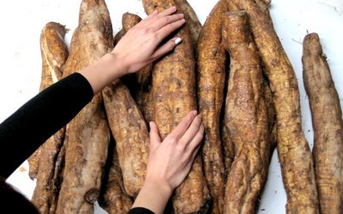 Cặp &ldquo;thần dược&rdquo; buổi s&aacute;ng: Ăn v&agrave;o l&agrave; đẹp d&aacute;ng, khỏe người, giảm mỡ cực dễ - Ảnh 2.