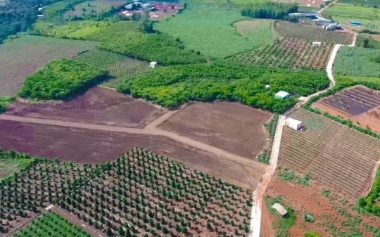 Giá vàng hôm nay (12/5): Vàng trong nước và thế giới tăng phi mã, thỏa thuận ngừng bắn hết sức mong manh - Ảnh 1.