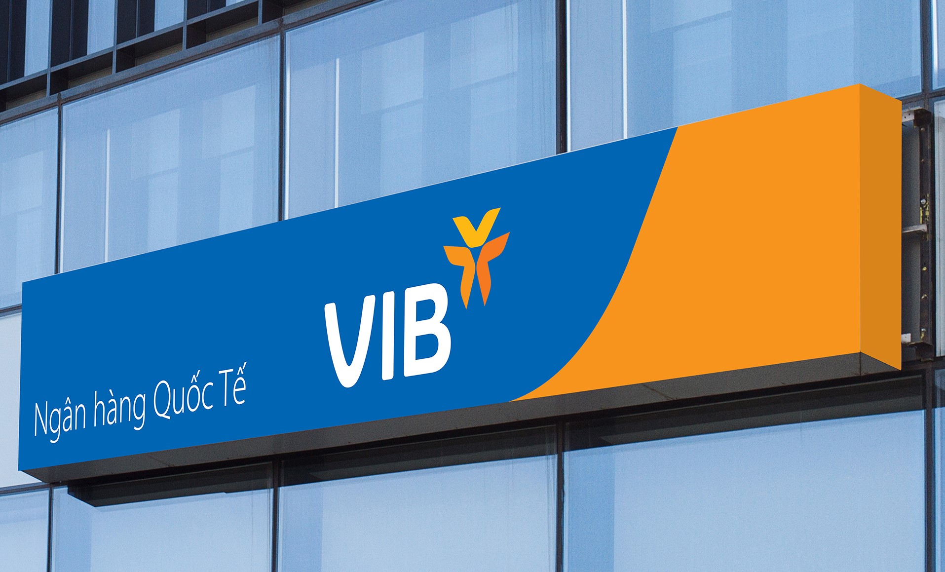 Vợ Phó Chủ tịch VIB chi 30 tỷ đồng gom thêm cổ phiếu - Ảnh 1.