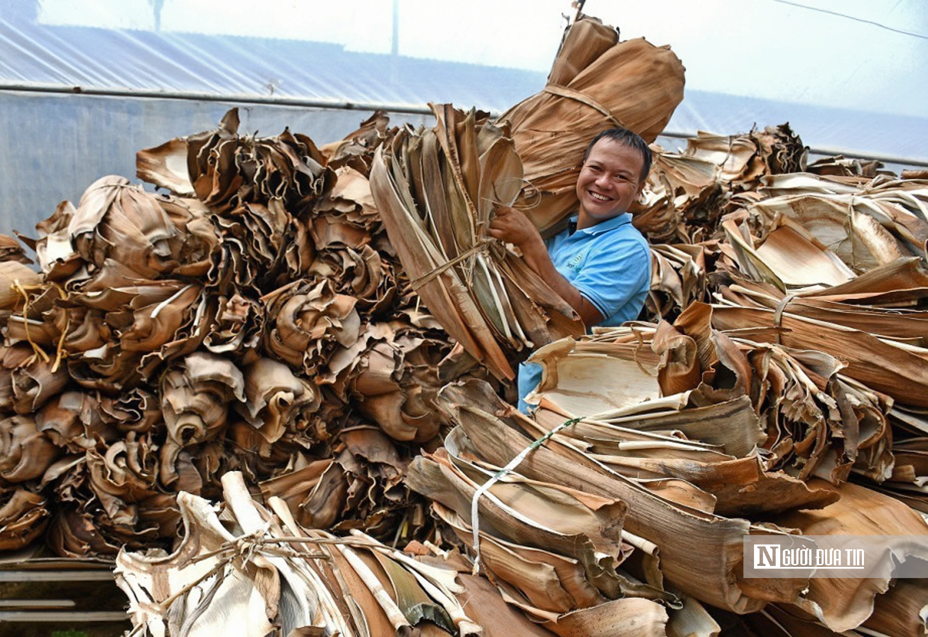 Biến “rác vườn” thành sản phẩm xuất ngoại, người dân Quảng Ngãi kiếm tiền triệu từ mo cau- Ảnh 3. Biến “rác vườn” thành sản phẩm xuất ngoại, người dân Quảng Ngãi kiếm tiền triệu từ mo cau- Ảnh 3.