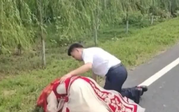 Thứ tưởng v&ocirc; dụng trong rừng bất ngờ được săn l&ugrave;ng với gi&aacute; gần 2 triệu đồng/kg, d&acirc;n thi nhau đi nhặt - Ảnh 3.