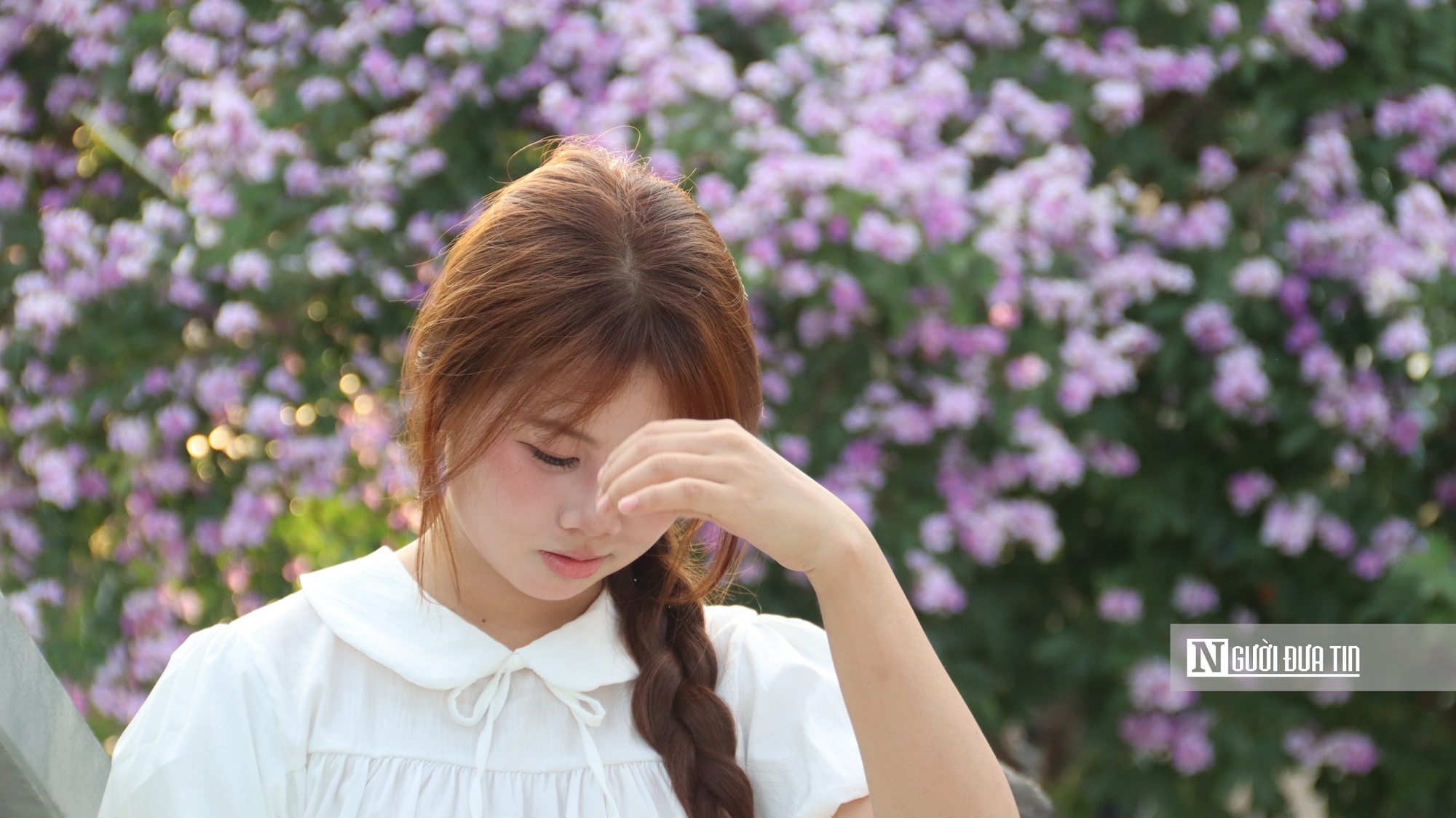 C&acirc;y bằng lăng "hot" nhất H&agrave; Nội l&uacute;c n&agrave;y, giới trẻ chen ch&acirc;n săn ảnh- Ảnh 5.