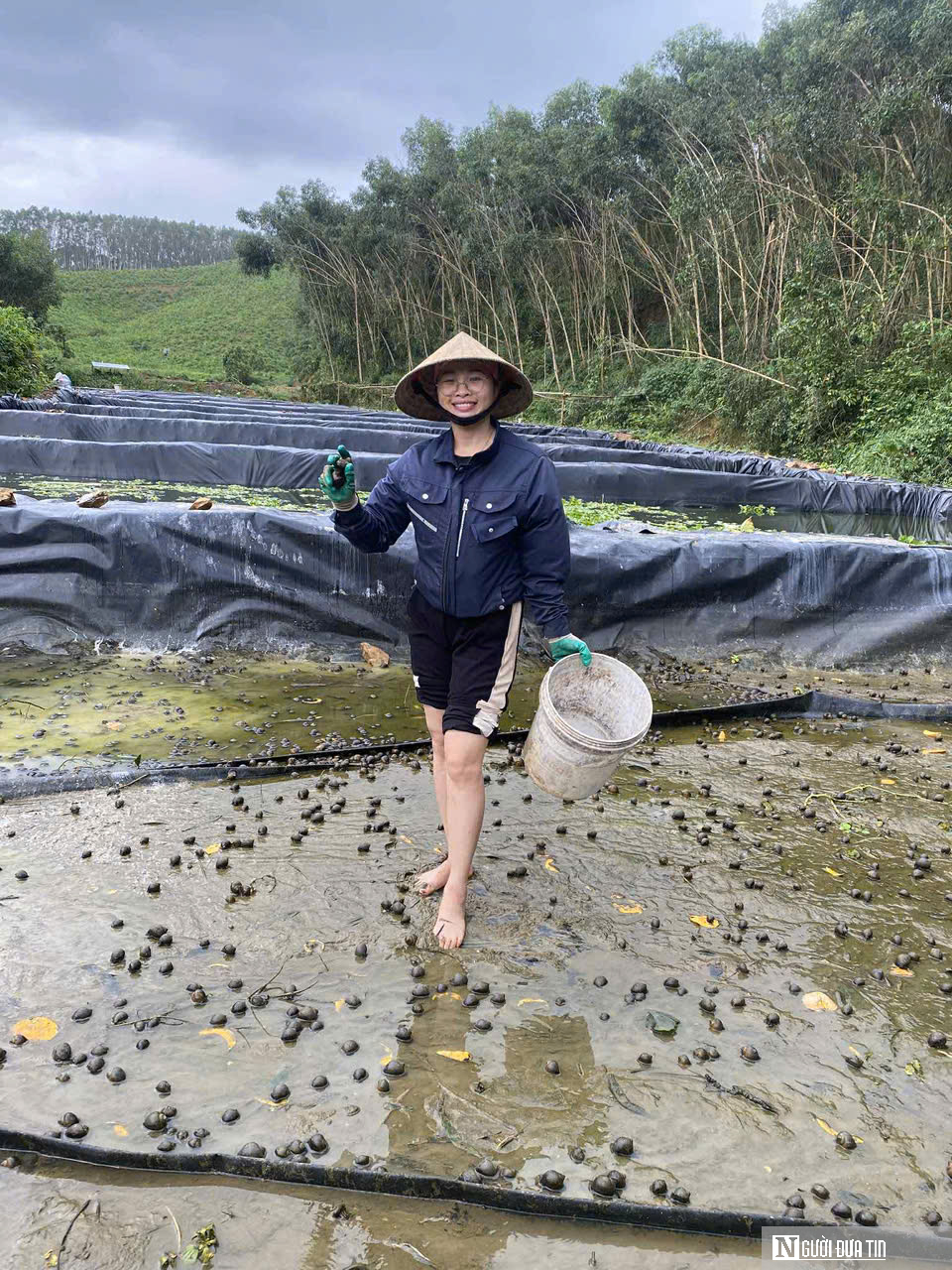 Bỏ việc lương hàng nghìn USD ở nước ngoài, anh nông dân lên khe núi nuôi con "một vốn bốn lời"- Ảnh 11. Bỏ việc lương hàng nghìn USD ở nước ngoài, anh nông dân lên khe núi nuôi con "một vốn bốn lời"- Ảnh 11.