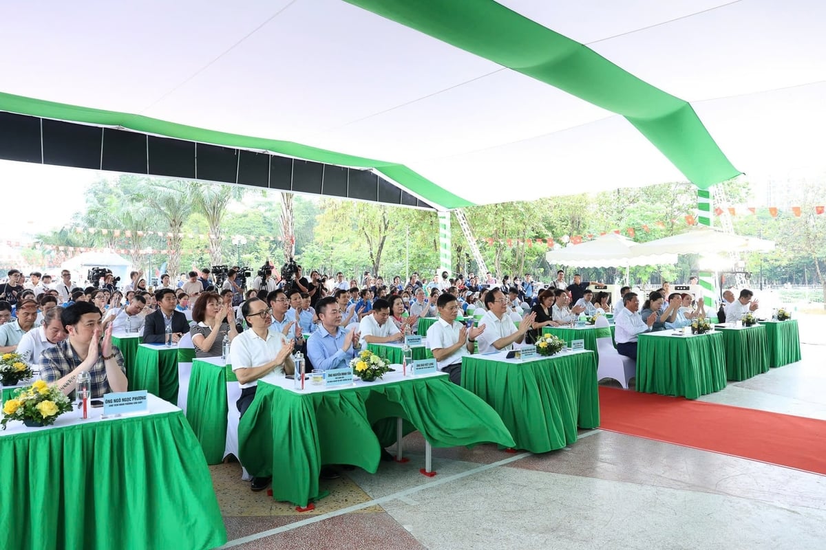 Ngăn ngừa tình trạng “xanh hóa hình thức”- Ảnh 3. Ngăn ngừa tình trạng “xanh hóa hình thức”- Ảnh 3.