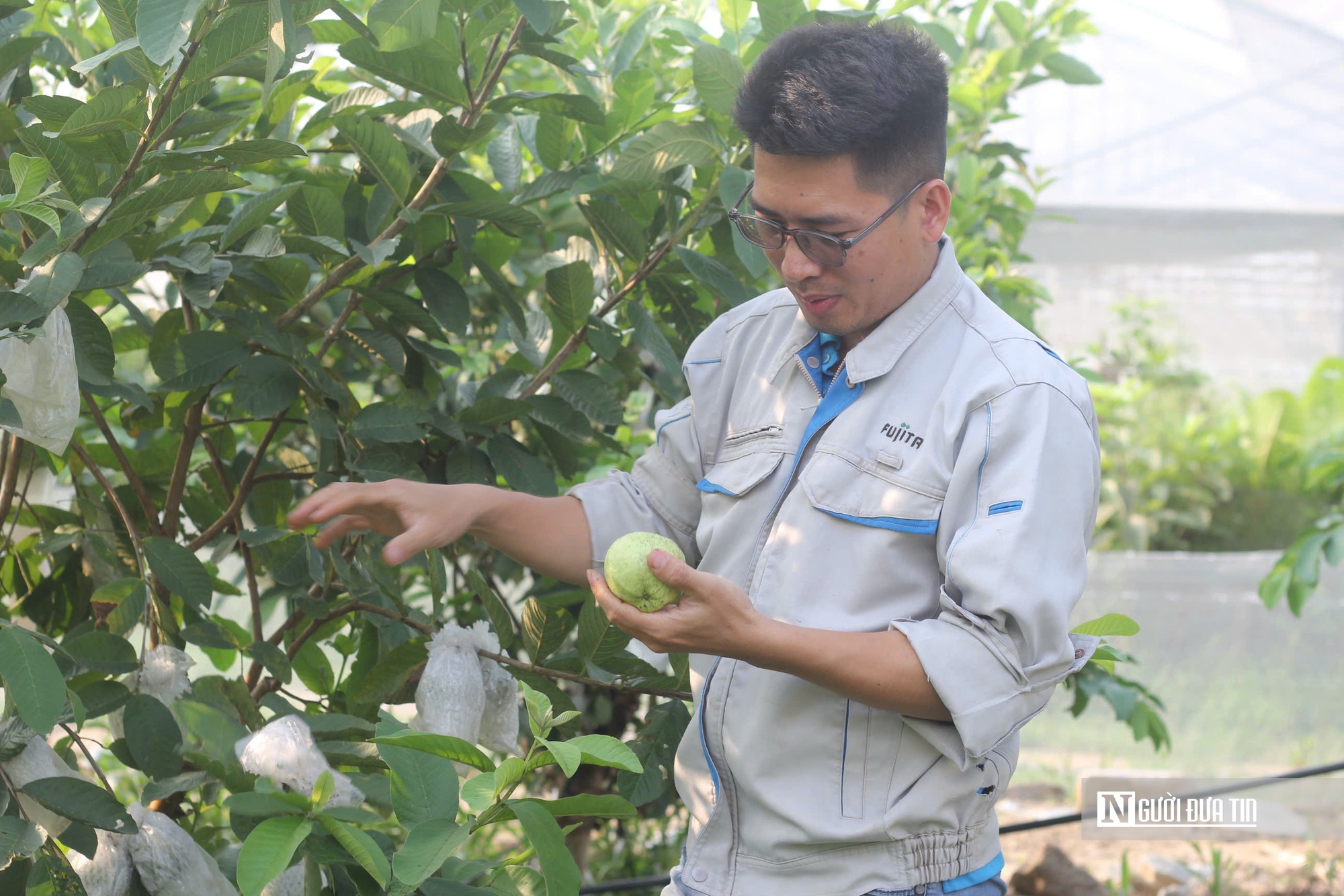 &ldquo;Bỏ phố về qu&ecirc;&rdquo; l&agrave;m n&ocirc;ng nghiệp, ch&agrave;ng trai xứ Nghệ thu tiền tỷ mỗi năm- Ảnh 2.