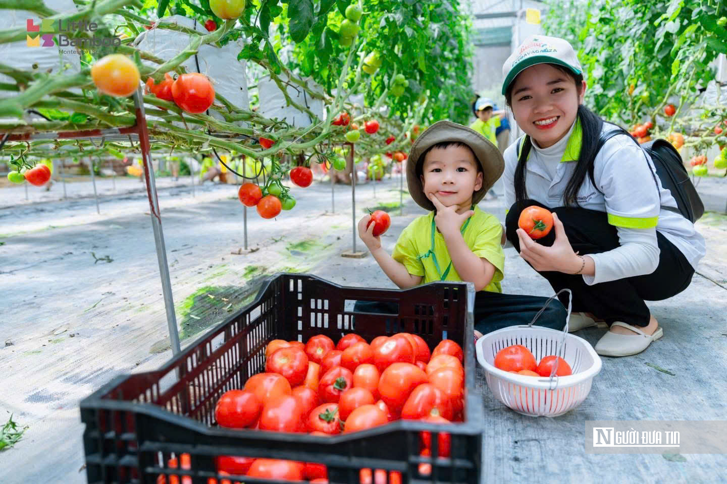&ldquo;Bỏ phố về qu&ecirc;&rdquo; l&agrave;m n&ocirc;ng nghiệp, ch&agrave;ng trai xứ Nghệ thu tiền tỷ mỗi năm- Ảnh 4.