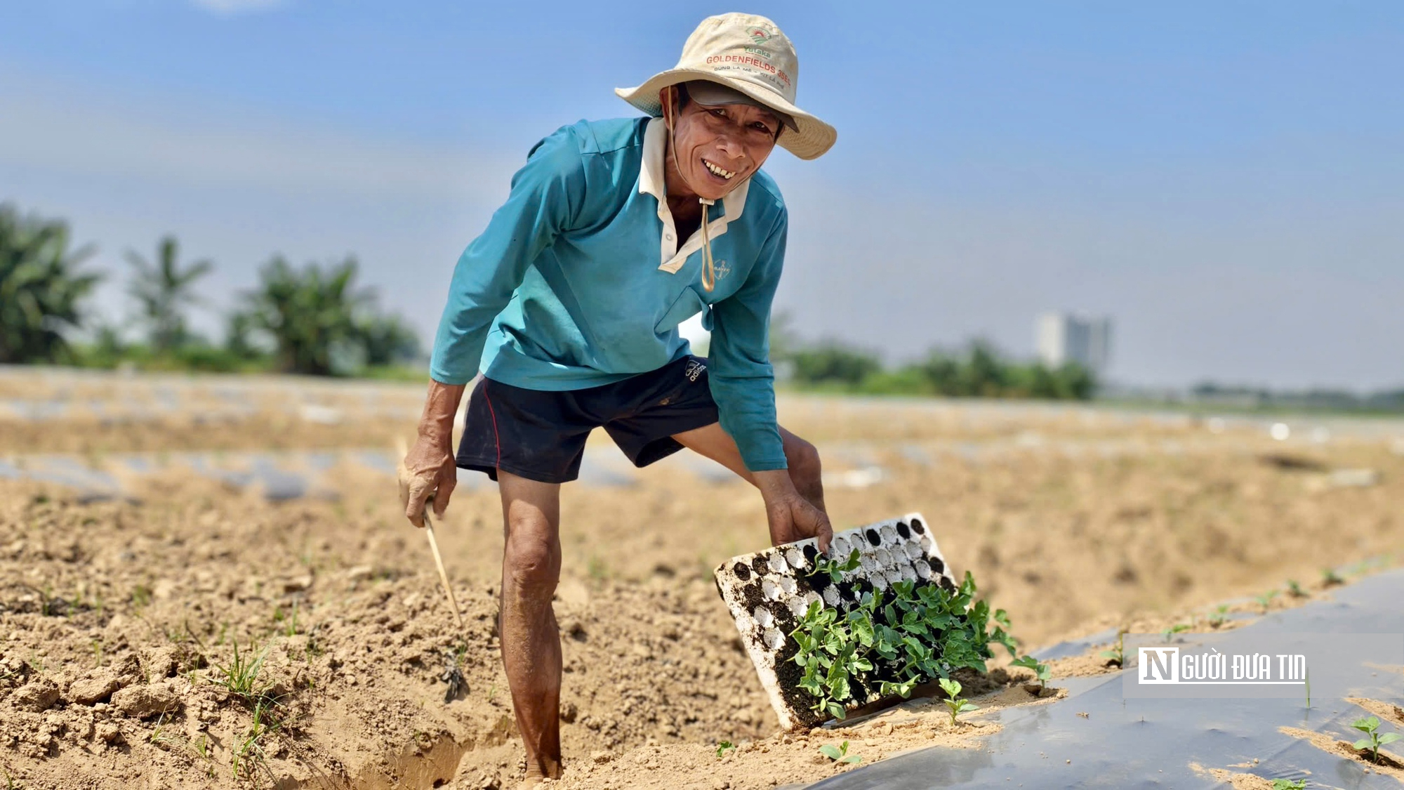 Chuyện &iacute;t biết về nghề "phu dưa" phi&ecirc;u bạt, gieo ước mơ hy vọng - Ảnh 4.