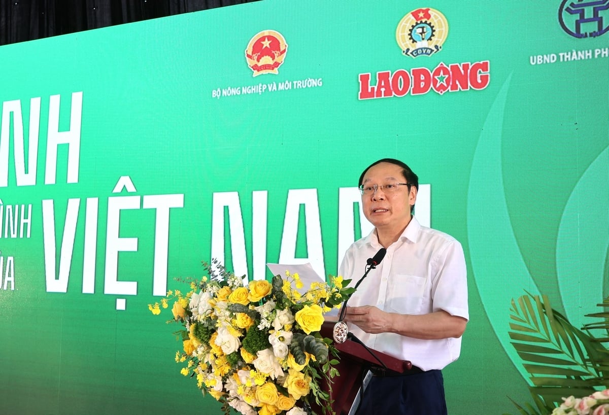 Ngăn ngừa tình trạng “xanh hóa hình thức”- Ảnh 2. Ngăn ngừa tình trạng “xanh hóa hình thức”- Ảnh 2.