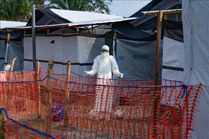 Dịch Ebola: Người dân không hoang mang, theo dõi thông tin chính thức từ Bộ Y tế và WHO - Ảnh 1.