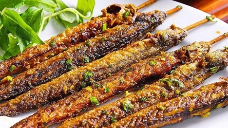 Loài cá nhìn rợn người nhưng lại là 