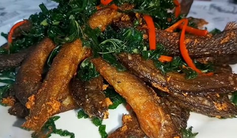 Loài cá nhìn rợn người nhưng lại là 