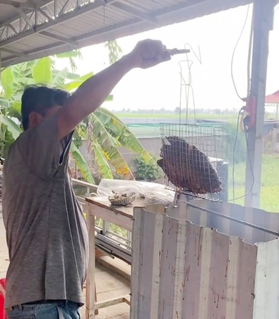 Đám giỗ miền Tây độc lạ với tiệc kiểu 