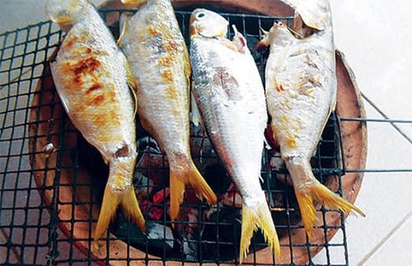 Loài cá "quý như vàng sống", có tiền cũng khó mua - Ảnh 3.
