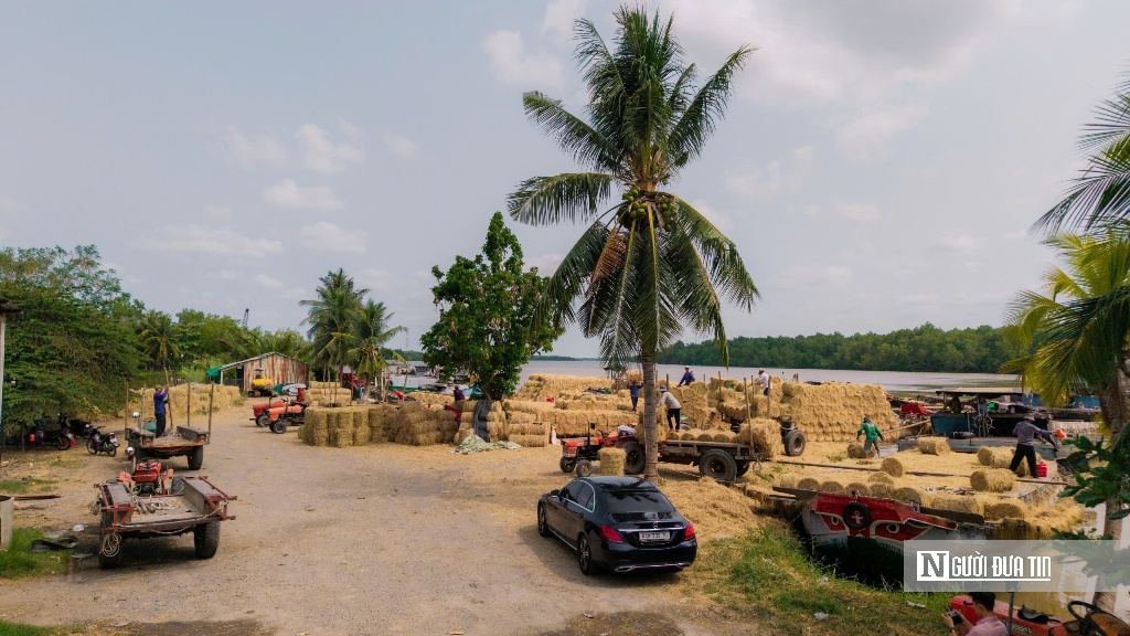 Chợ rơm Ba Lai nhộn nhịp, nâng giá trị nông nghiệp miền Tây- Ảnh 6.