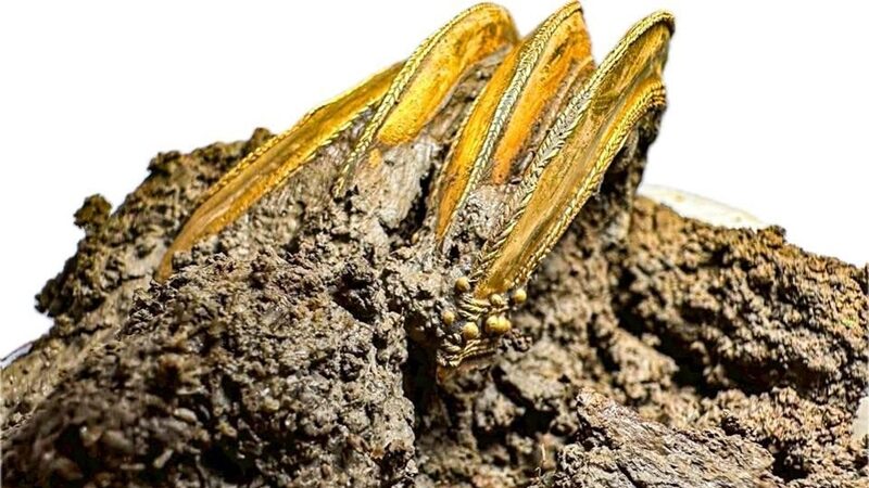 Phát hiện ngôi mộ trên cánh đồng lúa, bên trong chứa vàng - Ảnh 2.