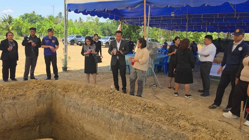 Phát hiện ngôi mộ trên cánh đồng lúa, bên trong chứa vàng - Ảnh 1.