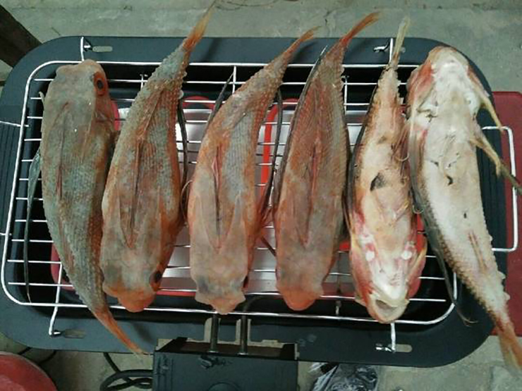 Loài cá có tên như loài bò sát là đặc sản