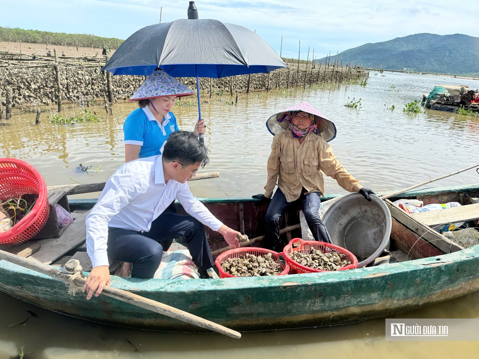 Hà Tĩnh: Độc đáo nuôi hàu trên dây, “đút túi” nửa triệu mỗi ngày- Ảnh 3. Hà Tĩnh: Độc đáo nuôi hàu trên dây, “đút túi” nửa triệu mỗi ngày- Ảnh 3.