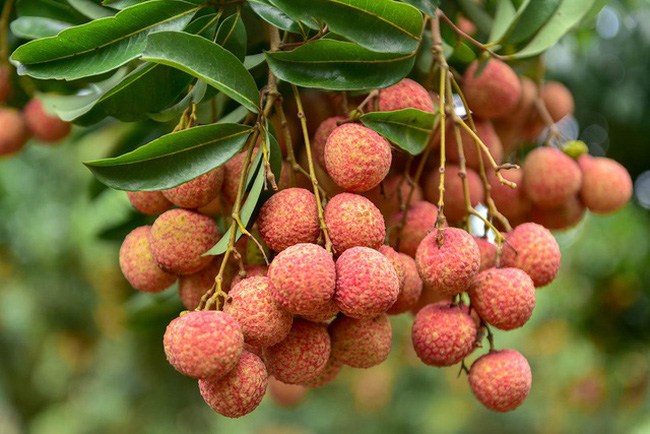 Loại trái cây đặc trưng của mùa hè, nhiều người mê nhưng một số nhóm người nên hạn chế ăn - Ảnh 1.