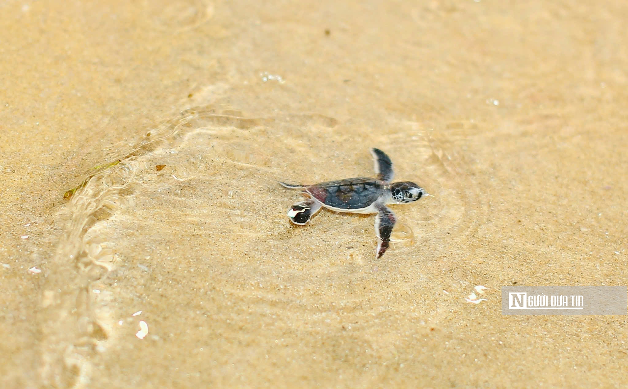 Về nơi 