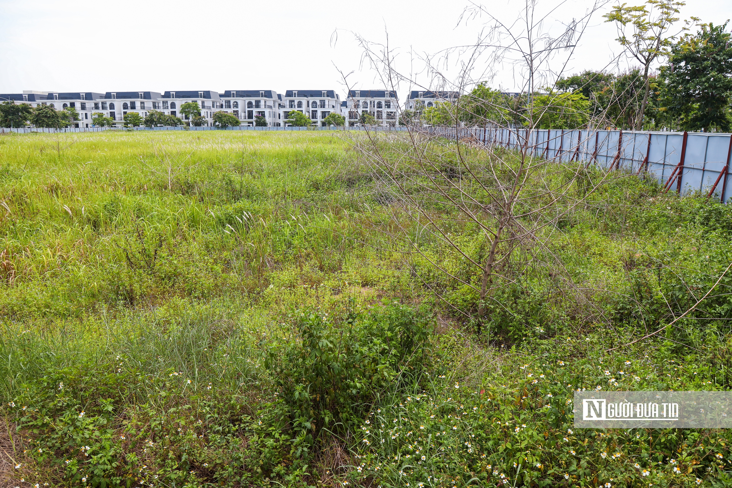 Toàn cảnh dự án nhà ở xã hội giá chưa đến 1 tỷ đồng sắp mở bán của HUD- Ảnh 17. Toàn cảnh dự án nhà ở xã hội giá chưa đến 1 tỷ đồng sắp mở bán của HUD- Ảnh 17.