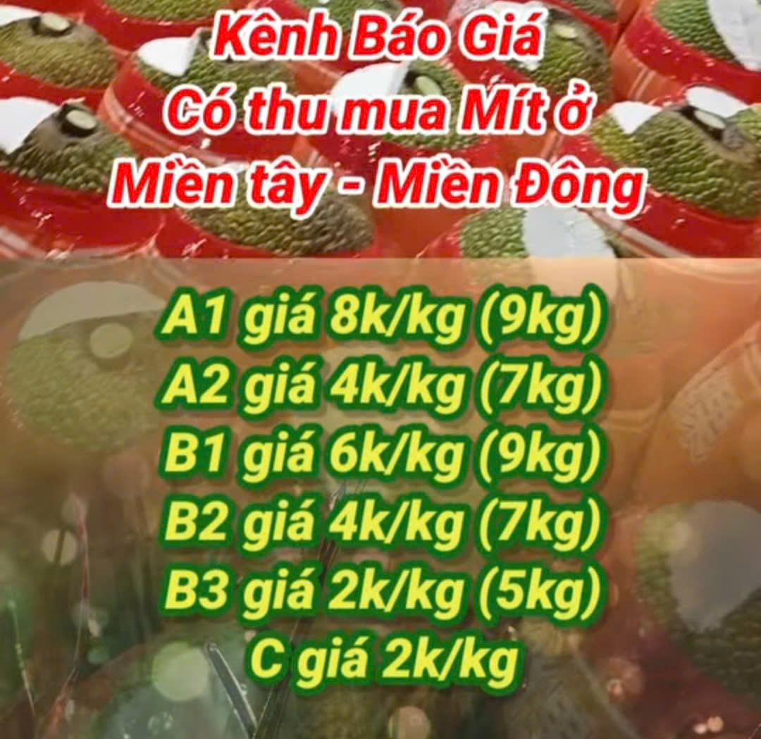 Giá mít lao dốc, nhà vườn Đồng Tháp chật vật - Ảnh 1.