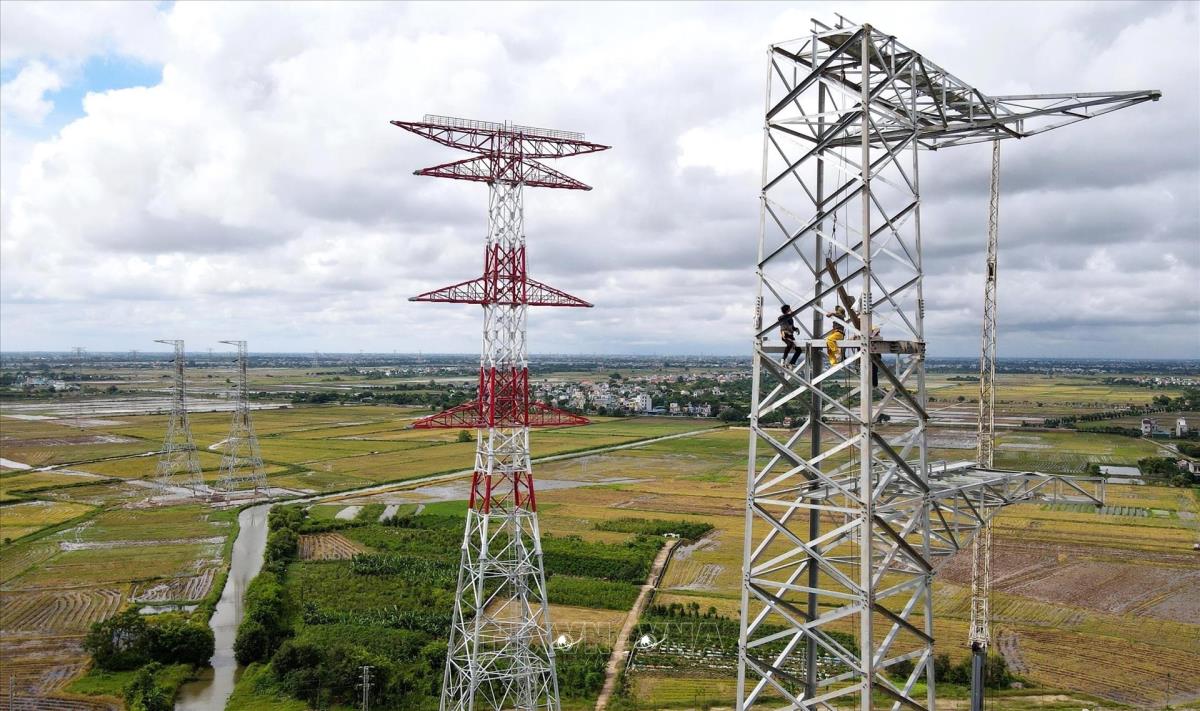 VNECO bác tin tham gia dự án 500kV mạch 3, lên tiếng việc hủy niêm yết bắt buộc - Ảnh 1.