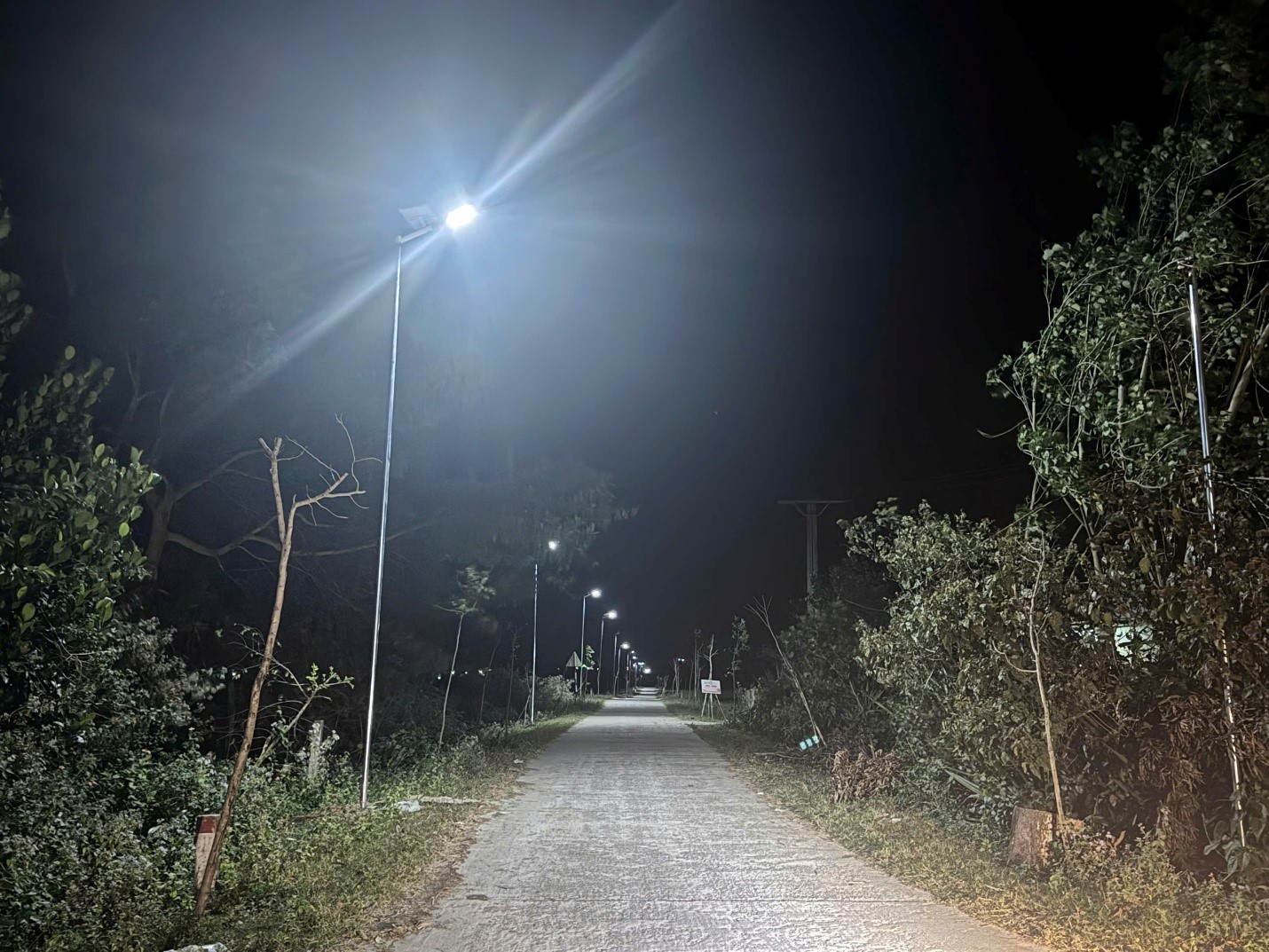 Tuổi trẻ Công ty Điện lực Lâm Đồng sôi nổi phong trào, khẳng định tinh thần xung kích - Ảnh 2.