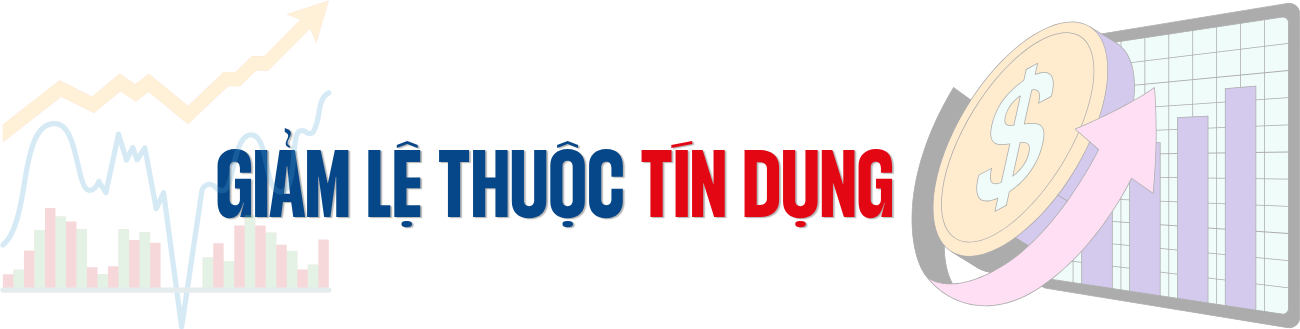 Tăng trưởng thực chất từ cải cách dòng vốn- Ảnh 3. Tăng trưởng thực chất từ cải cách dòng vốn- Ảnh 3.