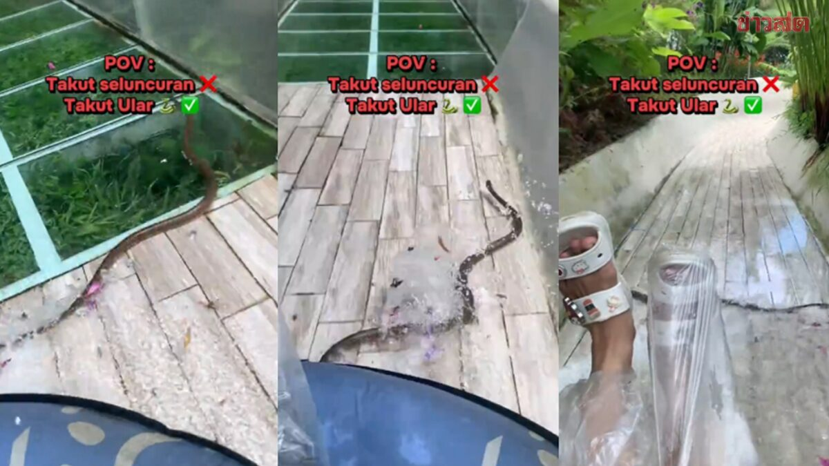 Đang chơi cầu trượt, người dân bất ngờ phát hiện cảnh tượng “đáng sợ” giữa ban ngày - Ảnh 1.