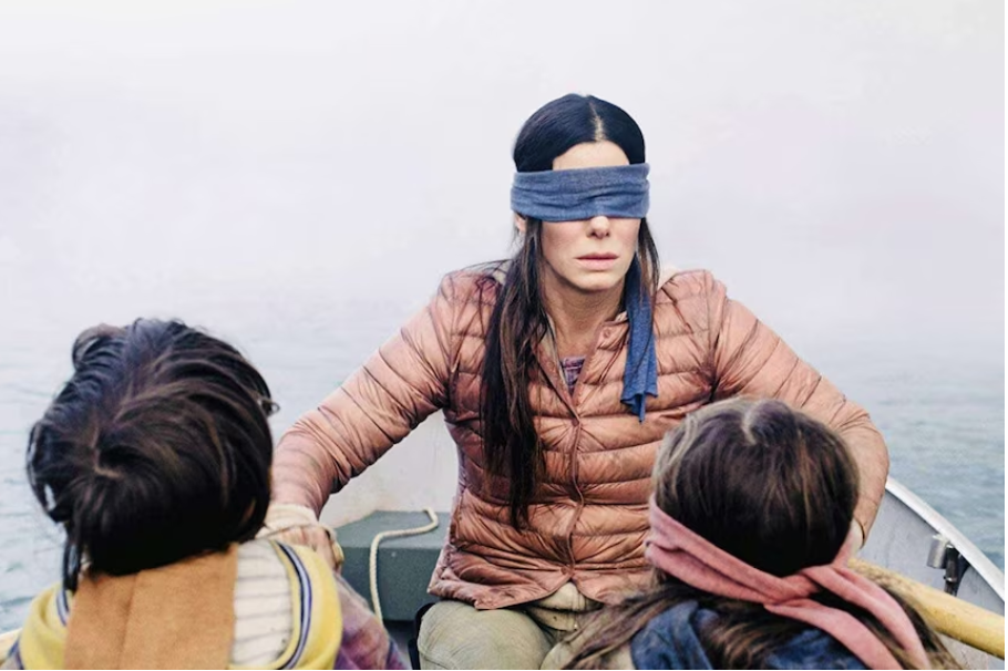Từ thử thách câu view đến tai nạn ngoài đời: “Bird Box Challenge” từng nguy hiểm tới mức nào? - Ảnh 2.