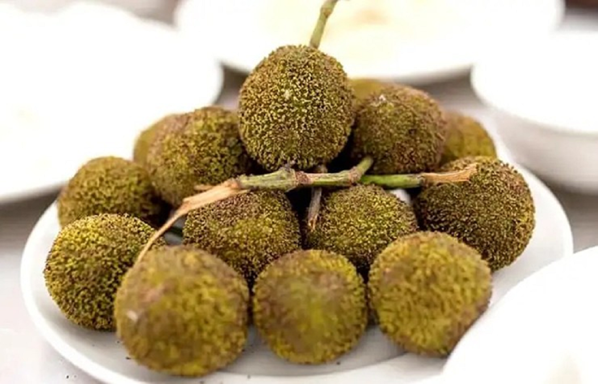 Loại quả quê nhìn lạ mắt mọc bờ rào nay 