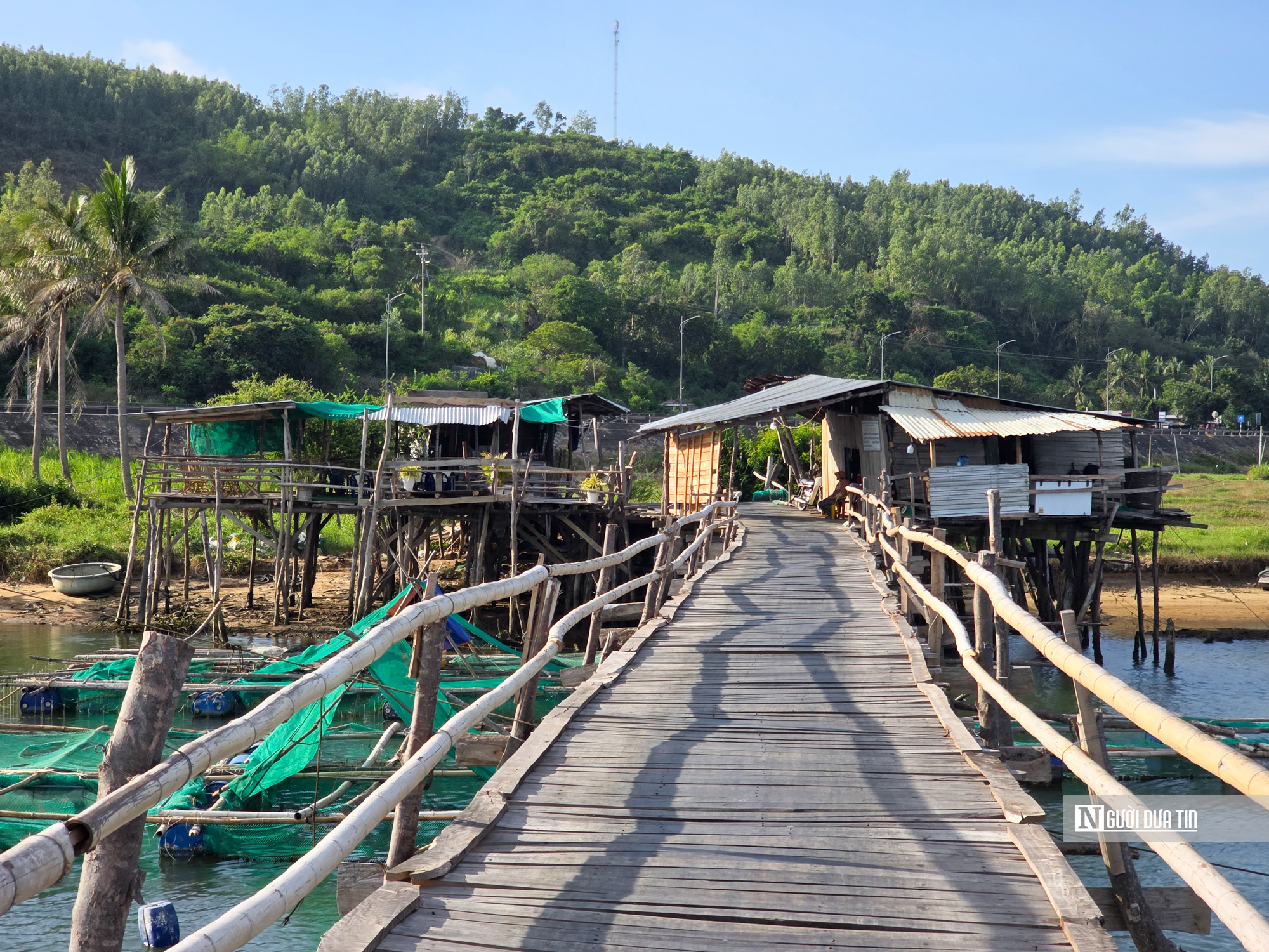 Độc lạ cây cầu gỗ qua sông dài nhất Việt Nam, là lối đi tắt nối hai xã của tỉnh Đắk Lắk- Ảnh 13. Độc lạ cây cầu gỗ qua sông dài nhất Việt Nam, là lối đi tắt nối hai xã của tỉnh Đắk Lắk- Ảnh 13.