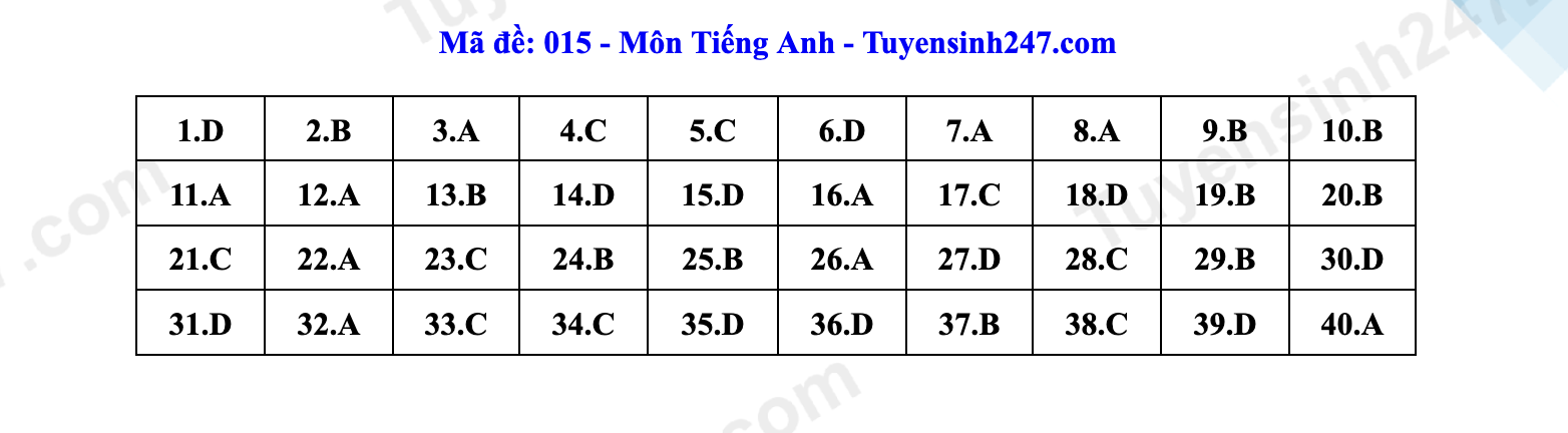 Đáp án môn tiếng Anh thi vào lớp 10 Hà Nội- Ảnh 15.