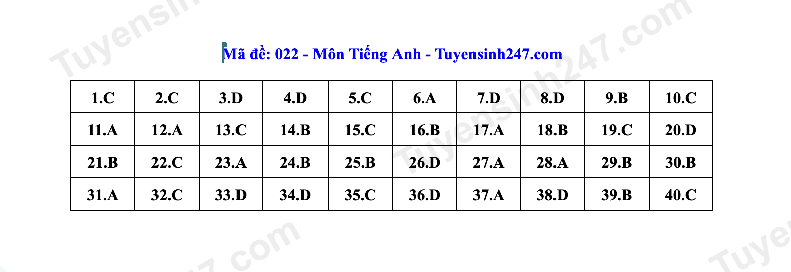 Đáp án môn tiếng Anh thi vào lớp 10 Hà Nội- Ảnh 18.