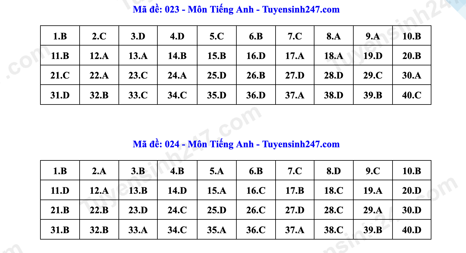 Đáp án môn tiếng Anh thi vào lớp 10 Hà Nội- Ảnh 19.