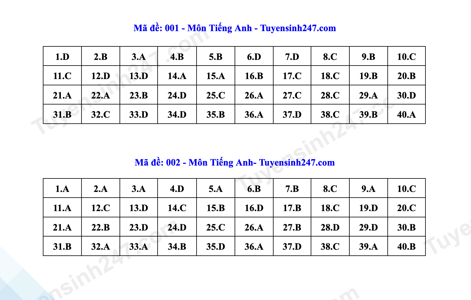 Đáp án môn tiếng Anh thi vào lớp 10 Hà Nội- Ảnh 13.