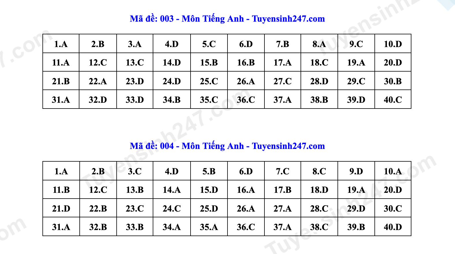 Đáp án môn tiếng Anh thi vào lớp 10 Hà Nội- Ảnh 14.