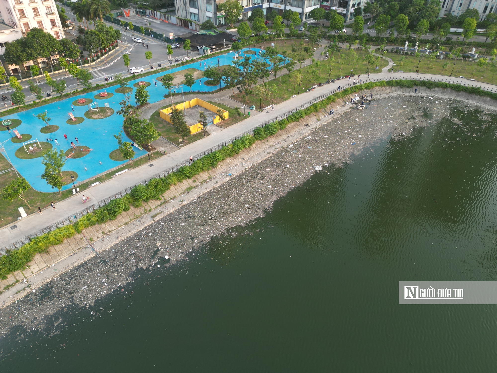 Hà Nội: Cá chết nổi, rác thải bốc mùi xuế uế công nhân căng mình dọn dẹp - Ảnh 1.