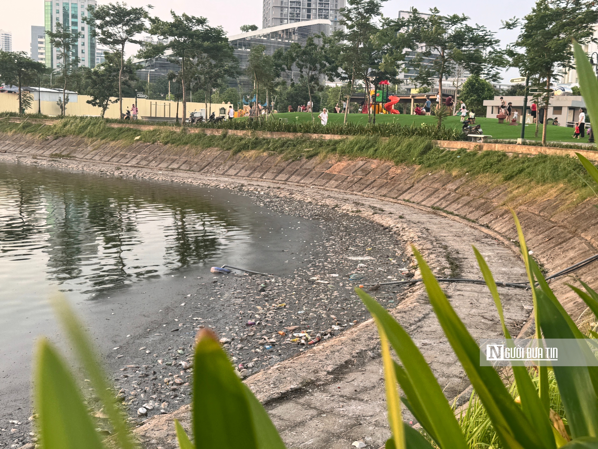 Hà Nội: Cá chết nổi, rác thải bốc mùi xuế uế công nhân căng mình dọn dẹp - Ảnh 3.