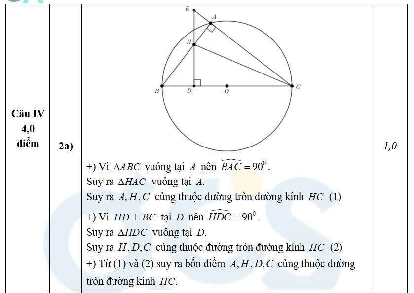 Đáp án môn Toán thi vào lớp 10 Hà Nội - Ảnh 8.