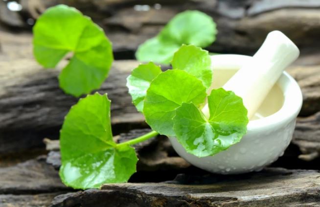 Những người không nên uống nước rau má kẻo 