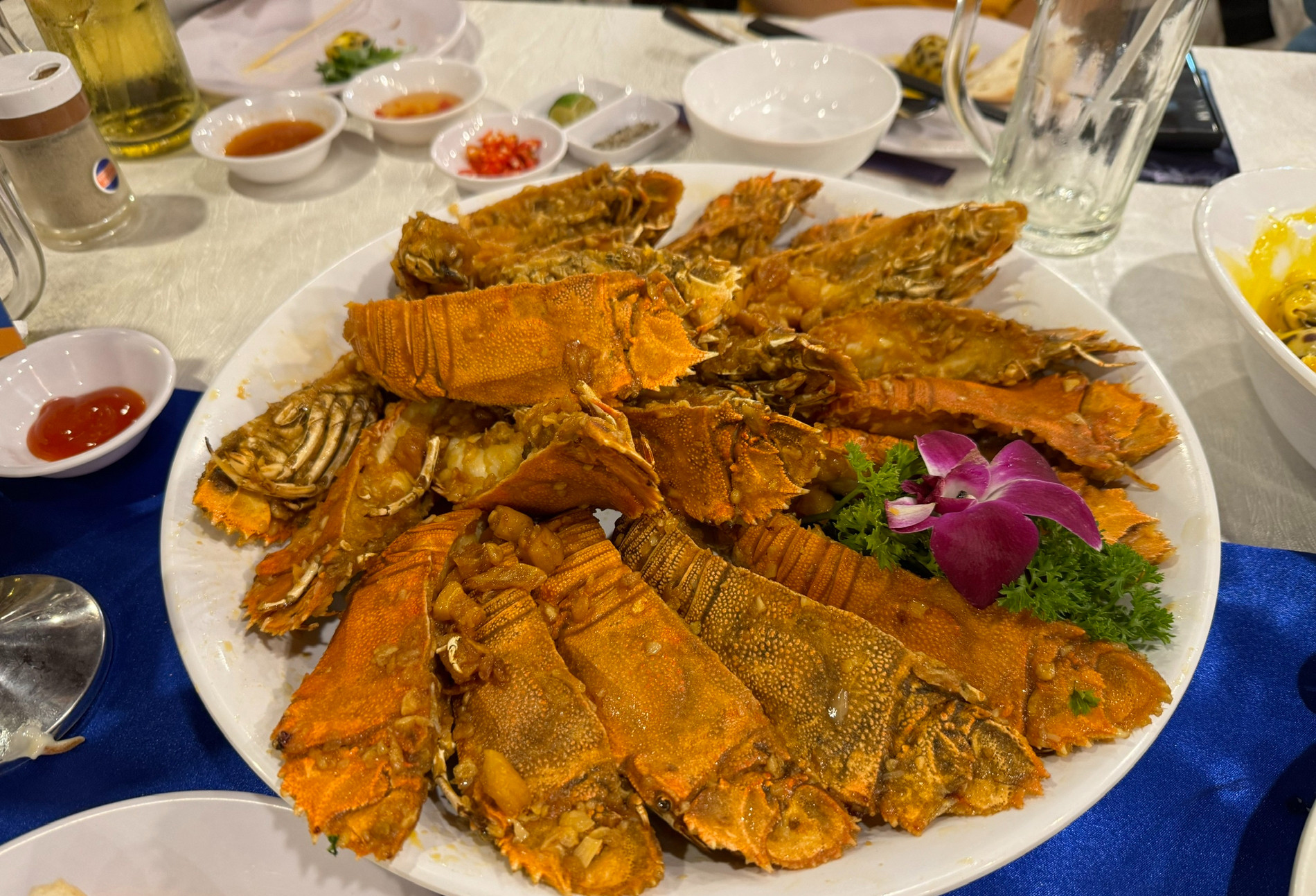 Đặc sản nổi tiếng ở vùng biển: Có 10 chân với hình thù kỳ dị, hút khách thưởng thức ở Mũi Né - Ảnh 3.
