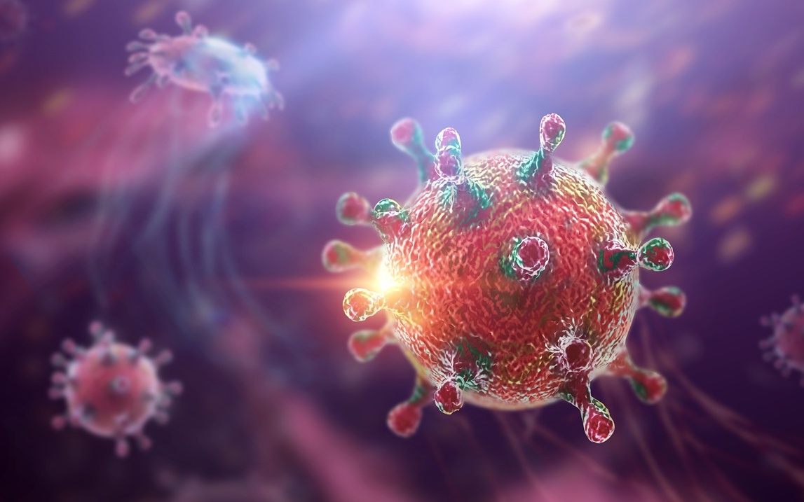 Cảnh b&aacute;o nguy cơ nhiễm virus Hanta từ thực phẩm bị chuột x&acirc;m nhập - Ảnh 2.