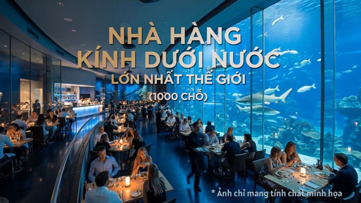 &ldquo;Tr&aacute;i tim đại dương&rdquo; lớn nhất thế giới sắp đập tại Vịnh di sản: &ldquo;thỏi nam ch&acirc;m&rdquo; h&uacute;t kh&aacute;ch quanh năm của Hạ Long - Ảnh 4.