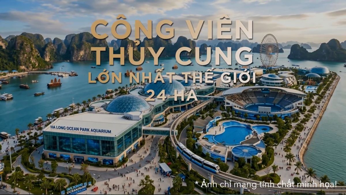 &ldquo;Tr&aacute;i tim đại dương&rdquo; lớn nhất thế giới sắp đập tại Vịnh di sản: &ldquo;thỏi nam ch&acirc;m&rdquo; h&uacute;t kh&aacute;ch quanh năm của Hạ Long - Ảnh 5.