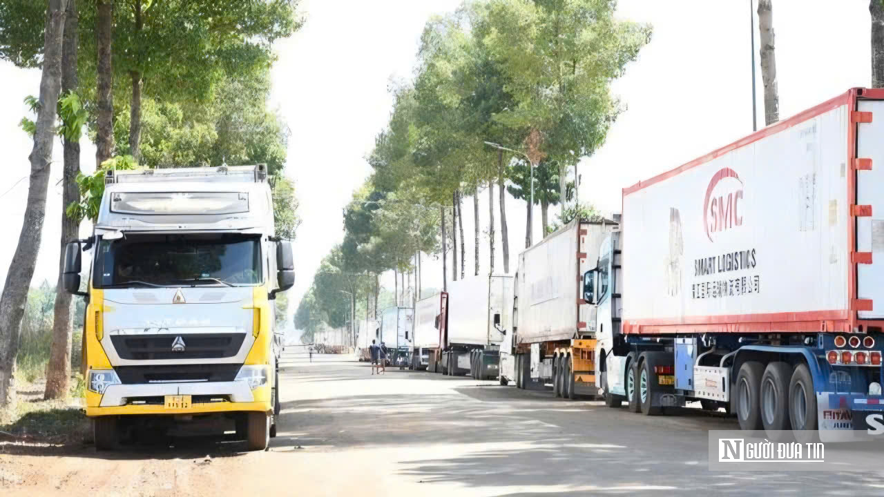 H&agrave;ng ng&agrave;n container sầu ri&ecirc;ng đổ về Dầu Gi&acirc;y: T&agrave;i xế vật vờ chờ kiểm định, người d&acirc;n than trời v&igrave; &ugrave;n tắc - Ảnh 9.